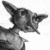Four- shows a cartoon character with large ears and textured fur in grayscale, transitioning from profile to front view with hands clasped, next to blue text reading S.P.E.W