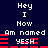 Pixelated text and red bars on dark blue background with repeated phrases 'Hey I Now Am named YESH' in white, two identical side-by-side layouts.