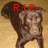 Animated icon of a monkey-like character with brown fur and light face, showing two text states: 'R.I.P.' above head on left frame, 'Basil <333' below body on right frame.