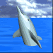 A silver dolphin leaps from blue water under a cloudy sky, its head turning from left to right