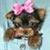 Pixelated image of a brown dog with a pink bow on its head against a light blue background.