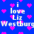 Blue background with pink pixelated hearts and repeated white text reading "i love Liz Westburg" in a pattern