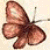 buddysite-05558