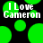 Green circular shapes and white text reading "I Love Cameron" on a black background with pixelated rendering.