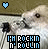 Pixelated image of a light-colored cat with dark eyes and nose, featuring text 'I'M ROCKIN N' ROLLIN' in blocky letters beneath it.