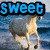 A four- displays text and images: top-left 'sweet' over a horse, top-right 'water' over water, bottom-left 'ranch' over a metallic object, bottom-right empty