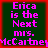 A 4-frame animated contact sheet showing identical text in four quadrants with red borders and green backgrounds, each frame displaying pink pixelated text reading "Erica is the Next mrs. McCartney".