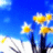 Pixelated image of three yellow flowers with white centers on dark stems against a blue sky background, with a small yellow flower fragment on the left.