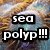 Sea polyp text overlaid on a textured background with two distinct color variations of the same base image.
