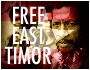 Two side-by-side frames show a pixelated character with red headwear and a red-and-white checkered shirt, with text 'FREE EAST TIMOR' on the left frame and a star-shaped blur on the right frame.
