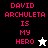 Pixelated text 'DAVID ARCHULETA IS MY HERO' in pink on black, white, and gray backgrounds with a star icon.