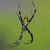 A pixelated figure with outstretched arms and legs against a greenish-yellow background, featuring a yellow torso and dark limbs.