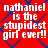 Red background with blue diamond pattern and white text reading "nathaniel is the stupidest girl ever!!" repeated four times in a