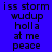 Blue background with black text reading 'iss storm wudup holla at me peace' in three , where red rectangles highlight different words sequentially across frames