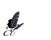 Animated sequence showing a black inkwell with a dark gray feather, the feather shifts position across frames while the word 'Contact' appears below.