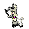 Animated sequence of a cartoon goat with gray and white fur, pink eyes, black hooves, and a purple collar with yellow gem.