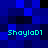 Pixelated blue background with four instances of cyan text reading 'Shayla01' positioned in corners