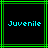 Two identical pixelated display 'Juvenile' text in cyan on black, framed by green lines