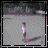 Hyperhottie Names, Funny, and Sports AIM Icons