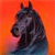 Pixelated horse head in profile against orange gradient background, dark mane and body with blue lower portion, no visible text or additional elements.
