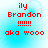 Red pixelated text on light blue gradient background with four identical showing 'ily Brandon !!!!! aka wooo' in red