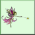 Animated fairy icon with pink and purple floral elements, green script text reading 'March Fairy Budidies', light green background.