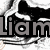 Pixelated grayscale image showing the name 'Liam' in bold block letters with a stylized black and white background.