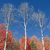 Static pixelated image of four tall, thin, white structures against a blue sky with autumn-colored trees below.