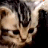 Animated sequence of a cat-like creature with striped fur, showing subtle facial expressions and small colored pixel clusters near its head.
