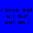 Blue background with black pixelated text reading "i know wat ur but wat am i" in four , each having a red rectangular highlight over one line of text
