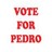 Red pixelated text reading VOTE FOR PEDRO on a white background with faint pastel grid pattern.