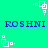 Pixelated blue text 'ROSHNI' repeated twice on a bright green background with white geometric shapes scattered around.