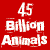 Red and white graphic with text about animal deaths, featuring a world map silhouette and 'peta2ta2.com' URL.