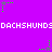 Purple background with repeating white text "DACHSHUND" and green star-like shapes with trailing dots in motion.
