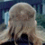 A pixelated image shows a person with light brown hair from behind, next to green text reading "Original Icons .com" on a dark background.