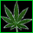Animated sequence of green cannabis leaves on black background with pixelated text appearing in