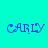 Four display the name 'CARLY' in blue pixelated text against cyan, green, orange, and green backgrounds