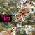 Animated sequence showing a brown dog in green foliage with pink text labels appearing and disappearing.