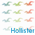 Pixelated bird icons in three color variations arranged in a grid, with blue text reading 'Hollister' at the bottom.