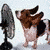Animated sequence of a dog standing next to a fan, with the dog's head turning from left to right across frames.