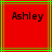 Red square with green and brown lines containing the name 'Ashley' in black pixelated text