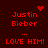Red pixelated text on dark background with animated heart and starburst symbols above 'Justin Bieber' and 'LOVE HIM!' phrases.