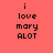 A static pixel art image with black text on a solid coral background, displaying the phrase "i love mary ALOT" in two identical vertical