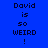 Blue background with pixelated text 'David is so WEIRD!' in black and light blue, displayed across three with highlighted sections