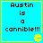 Four identical cyan squares with yellow borders each display black pixelated text reading "Austin is a cannible!!!" and a small yellow Pac-Man symbol in the bottom-right corner.