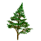 Animated sequence showing a green coniferous tree with brown trunk, transitioning from full view to partial views behind dark rectangular shapes.