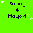 Green background with repeated 'Sunny 4 Mayor!' text and white stars, stars shift position across frames.