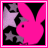 Animated contact sheet of a pink Playboy bunny icon with alternating text labels, featuring 13 frames arranged in a 4x4 grid layout on a gray background.