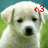 A white puppy with dark eyes and nose appears in four ; the top-right shows a gray background while others have green grass and blue sky