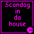 Four identical display pink text "Scandog in do house" with a pixelated 'e' symbol on black backgrounds, each bordered by bright pink lines